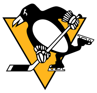 Hockey History: Pittsburgh Penguins Mario Lemieux Sits Out 1994-95